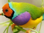 جملات الهام بخش برای زندگی
