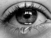 نقطه پرگار،طعمه کفتار شعری از سینا دژآگه