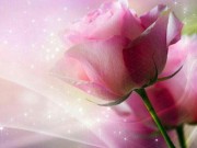 زندگی زیباست ای زیبا پسند «جملات زیبا»