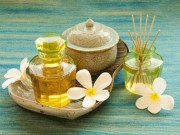 خواص روغن گل پامچال (مطلب)
