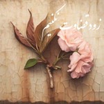 ویدئو :  جملات زیبای برای زود قضاوت نکردن