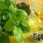 عرقیات گیاهی مفید و مضر در دوران بارداری (مطلب)