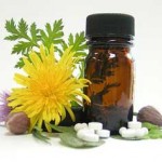 گیاهان خطر ناک در بارداری (مطلب)