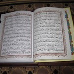 ویدئو :  گربه ای که پاش رو روی قرآن نمیذاره (مطلب)