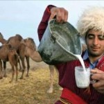 تاثیرات مفید شیر شتر بر امراض قندی (مطلب)