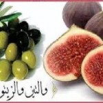 ویدئو :   معجزه زیتون و انجیر در قرآن ● استاد رائفی پور (مطلب)