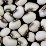 عکسهایی از لوبیا چشم بلبلی و خواص استفاده از آن