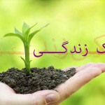 ویدئو : عزت نفس و رابطه آن با موفقیت (مطلب)