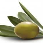 روغن زیتون منبع غنی آنتی اکسیدان ها (مطلب)