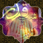 ویدئو :  شب قدر با صدای حامد زمانی