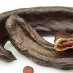 خرنوب چیست و چه خواص درمان دارد؟