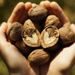 فایده گردو برای نوزادان، افراد دیابتی و زنان باردار
