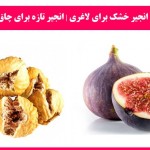 خواص انجیر خشک برای لاغری | انجیر تازه برای چاق شدن
