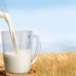لیست فواید شیر اسب در طب سنتی