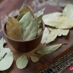 برگ بو به کنترل قندخون کمک می کند