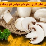 خواص بی نظیر قارچ | مضرات و خواص قارچ خام برای بدن