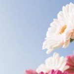 فرمولی برای تقویت پوست