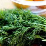 خواص سبزی شوید گیاهی معطر