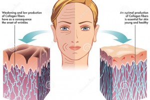از کجا بفهمیم دچار کمبود کلاژن شده ایم؟