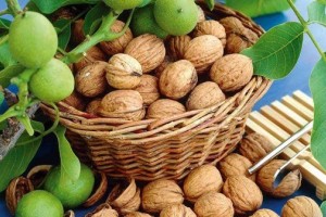 گنجاندن گردو در رژیم غذایی بهترین راهکار کاهش کلسترول