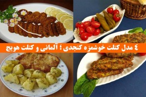 طرز تهیه انواع کتلت های خوشمزه