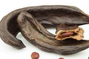 خرنوب چیست و چه خواص درمانی دارد؟