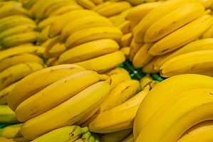 واقعیت‎هایی مهم و جالب درباره موز که نمی‎دانستید! (مطلب)