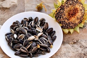 ۸ مهمترین خواص تخمه آفتابگردان برای تقویت باروری