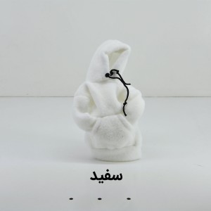 روکش دنده طرح هودی