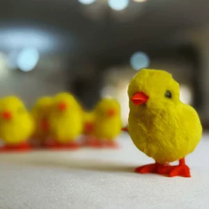 اسباب بازی کوکی متحرک مدل جوجه رنگی
