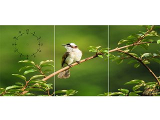 ساعت دیواری تابلوای سه تکه مدل گنجشک