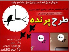 خرید ساعت دیواری فانتزی طرح پرنده