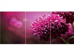 ساعت دیواری تابلوای سه تکه مدل میخک