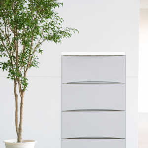 D117-CS4 طوسی دل آسا