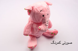 کوله پشتی (دارای رنگبندی)