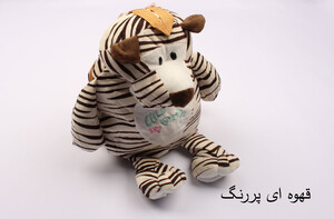 کوله پشتی پولیشی (دارای رنگبندی)