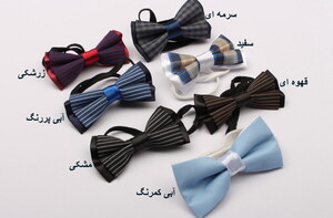 پاپیون(6-1 سال)