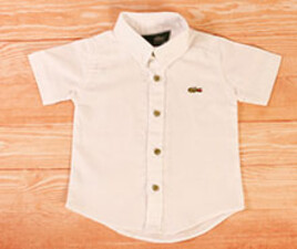شومیز lacoste