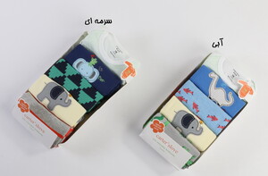 بادی 5 تایی (18 ماه) carter's