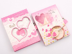 دفترچه خاطرات