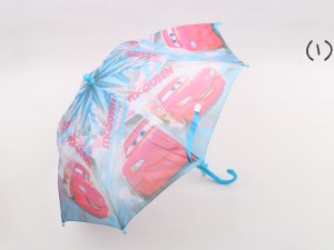 چتر (تنوع طرح و رنگ)