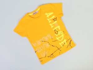 تیشرت brazii