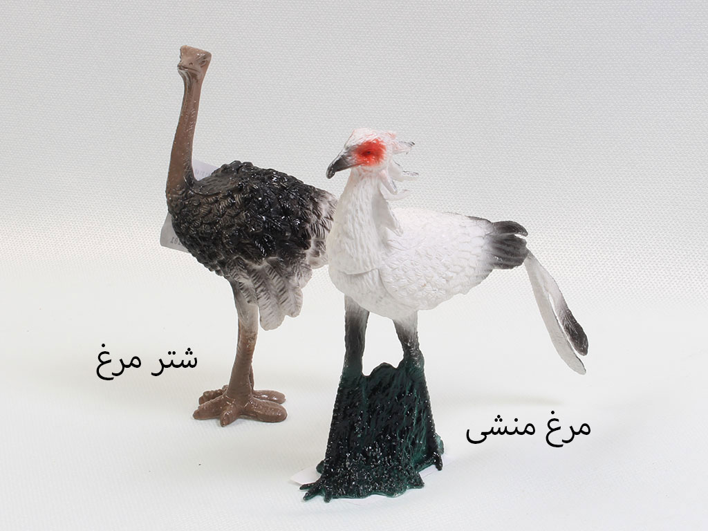 فیگور پرندگان