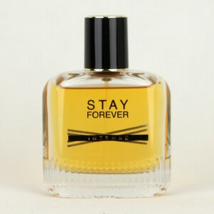 عطر مردانه استای فوراور | Stay Forever men's cologne perfume