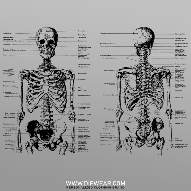 تیشرت Front and Back