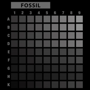 تیشرت طرح انتخابی MOON-XL52.72-FOSSIL-D4