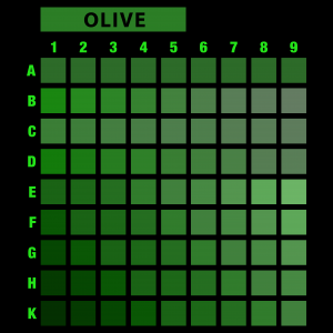 تیشرت طرح انتخابی PRIME-5XL70.80-OLIVE-C4