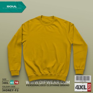 دورس طرح انتخابی  SOUL-4XL