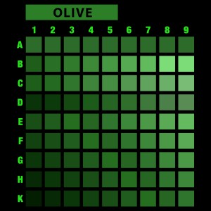 تیشرت طرح انتخابی PRIME-6XL-OLIVE-D4