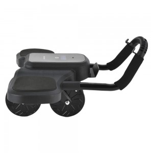 غلتک ورزشی ABS با نمایشگر دیجیتال گرین ABS Exercise Roller With Digital Display